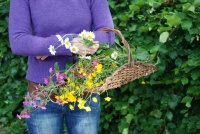 Bloemenplukmand